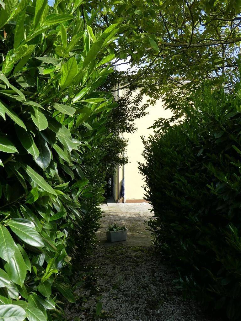 Giardino