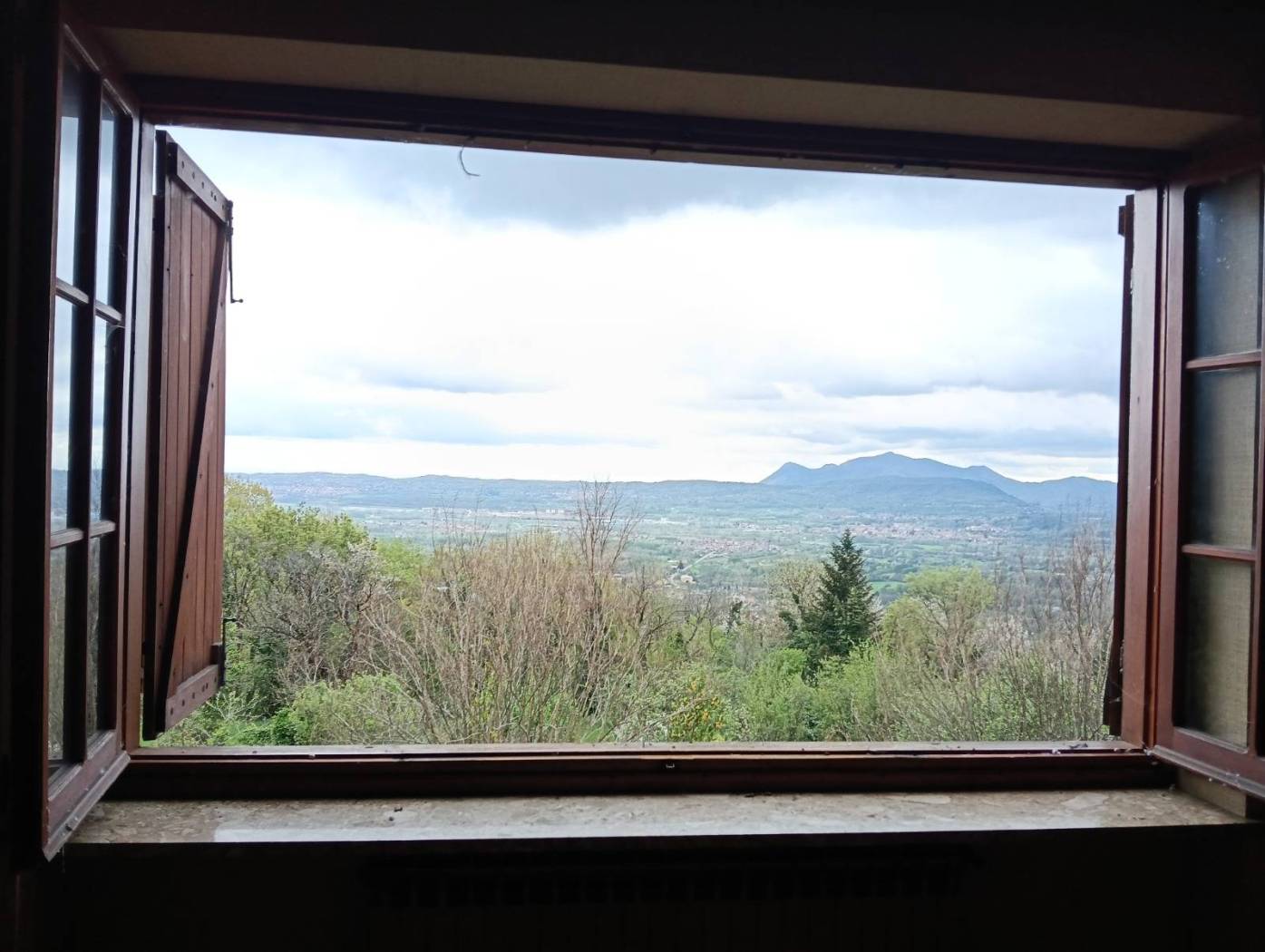 Vista