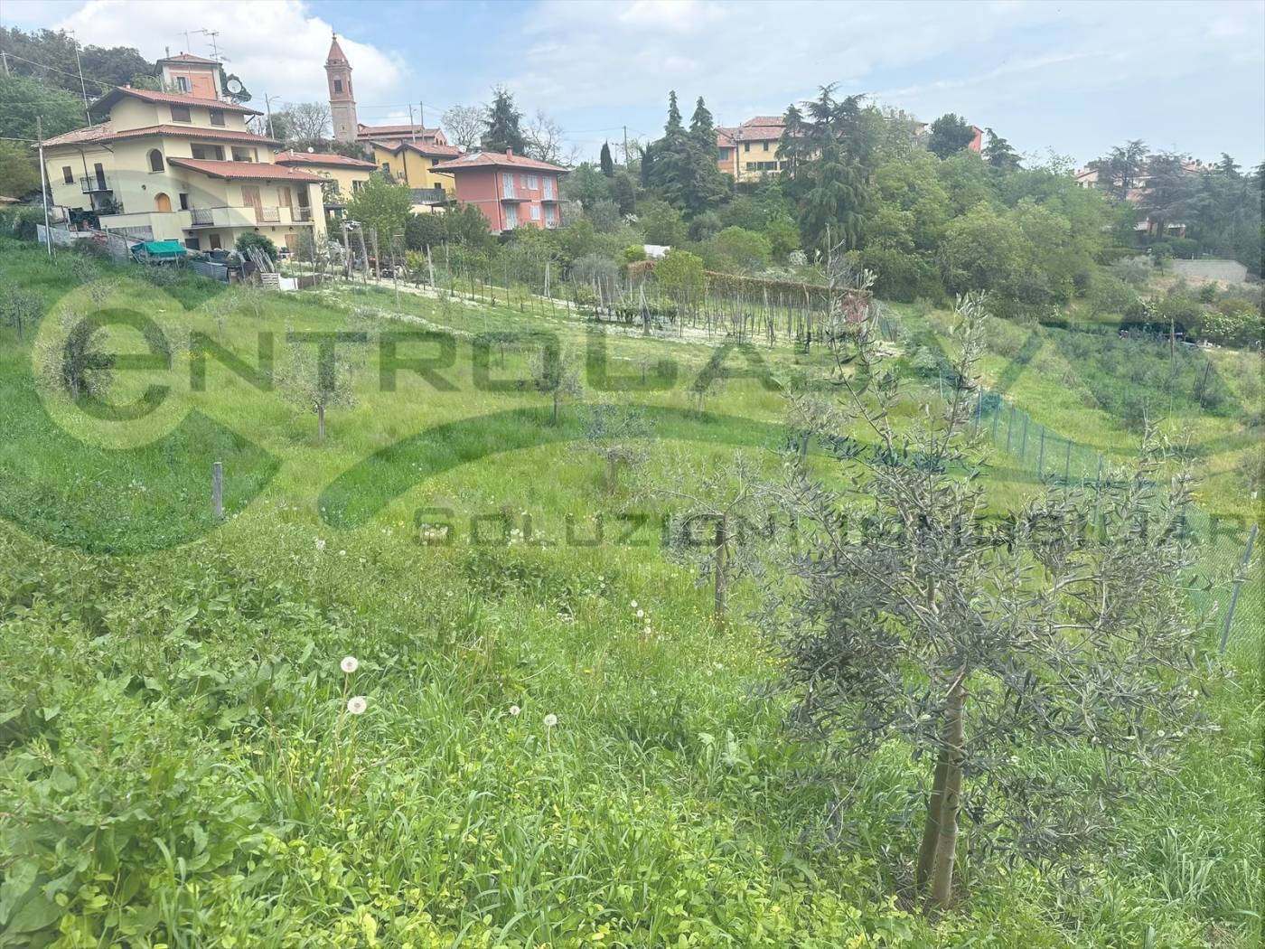 Terreno