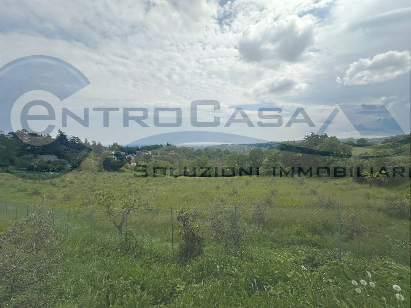 Terreno