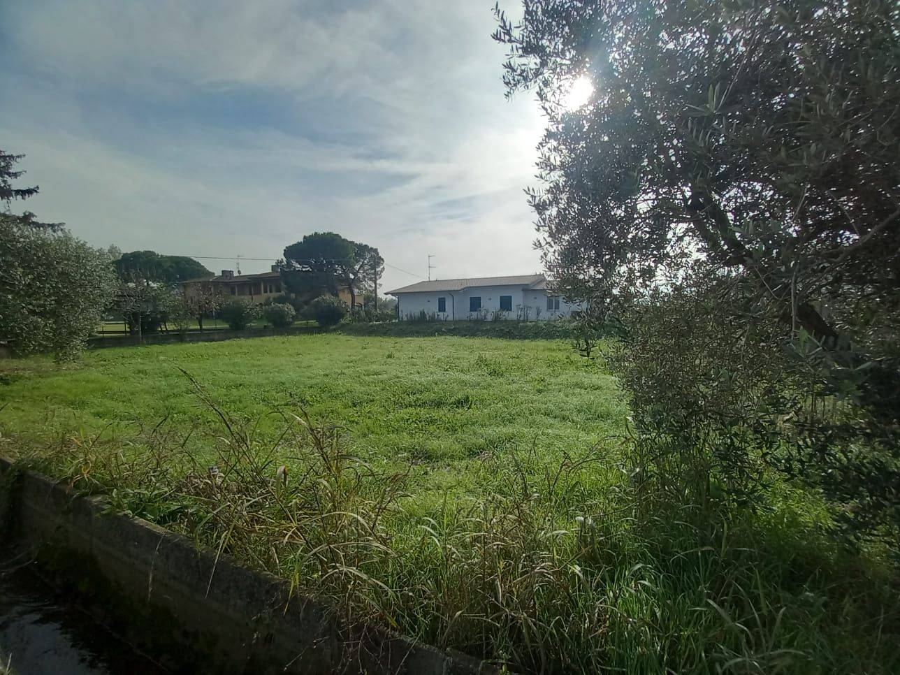 Terreno