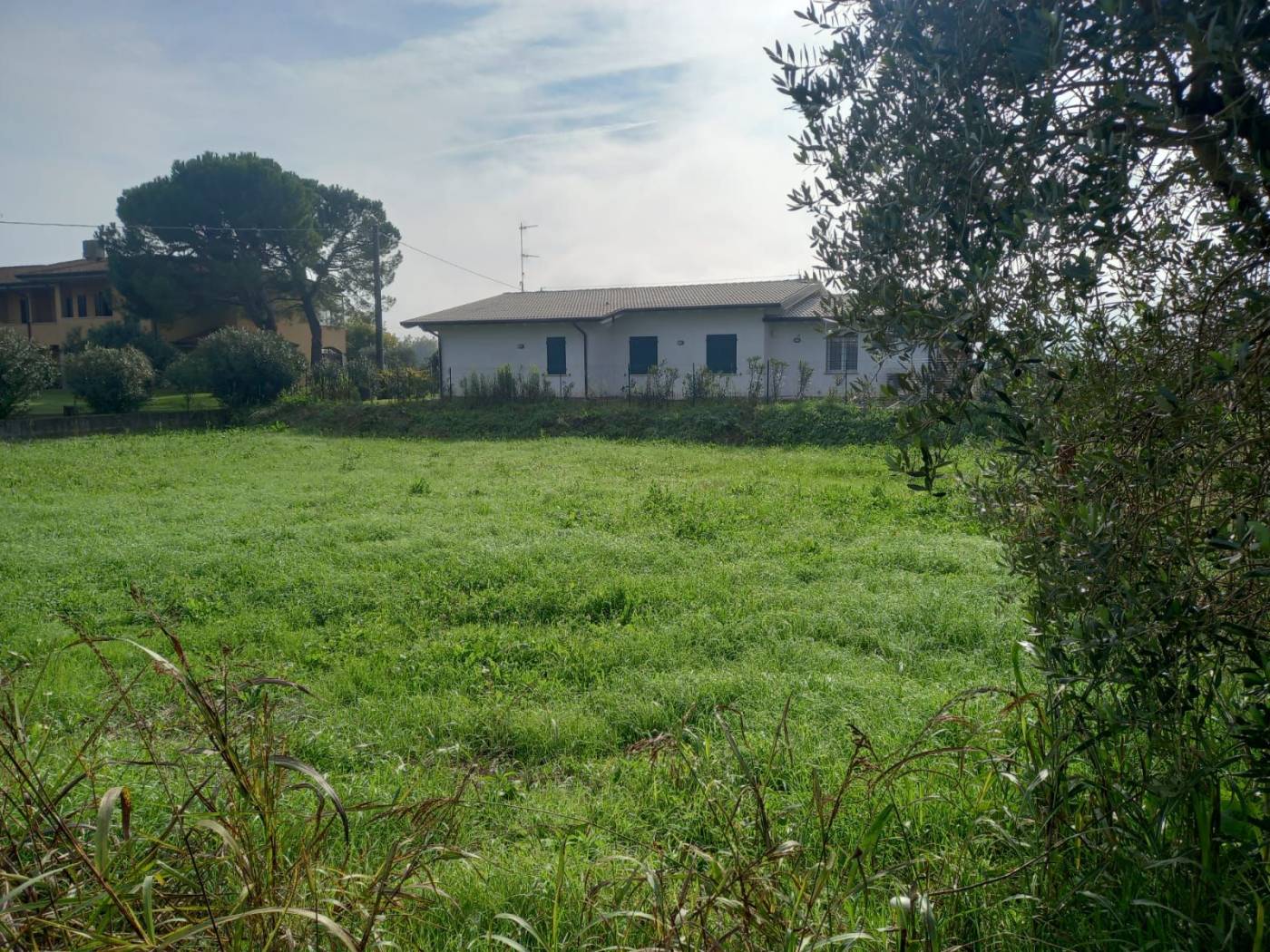 Terreno