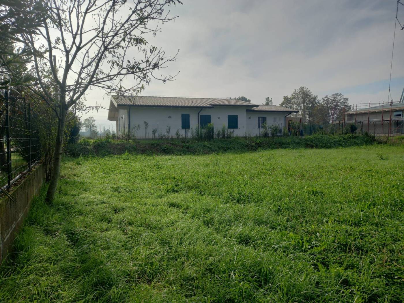 Terreno