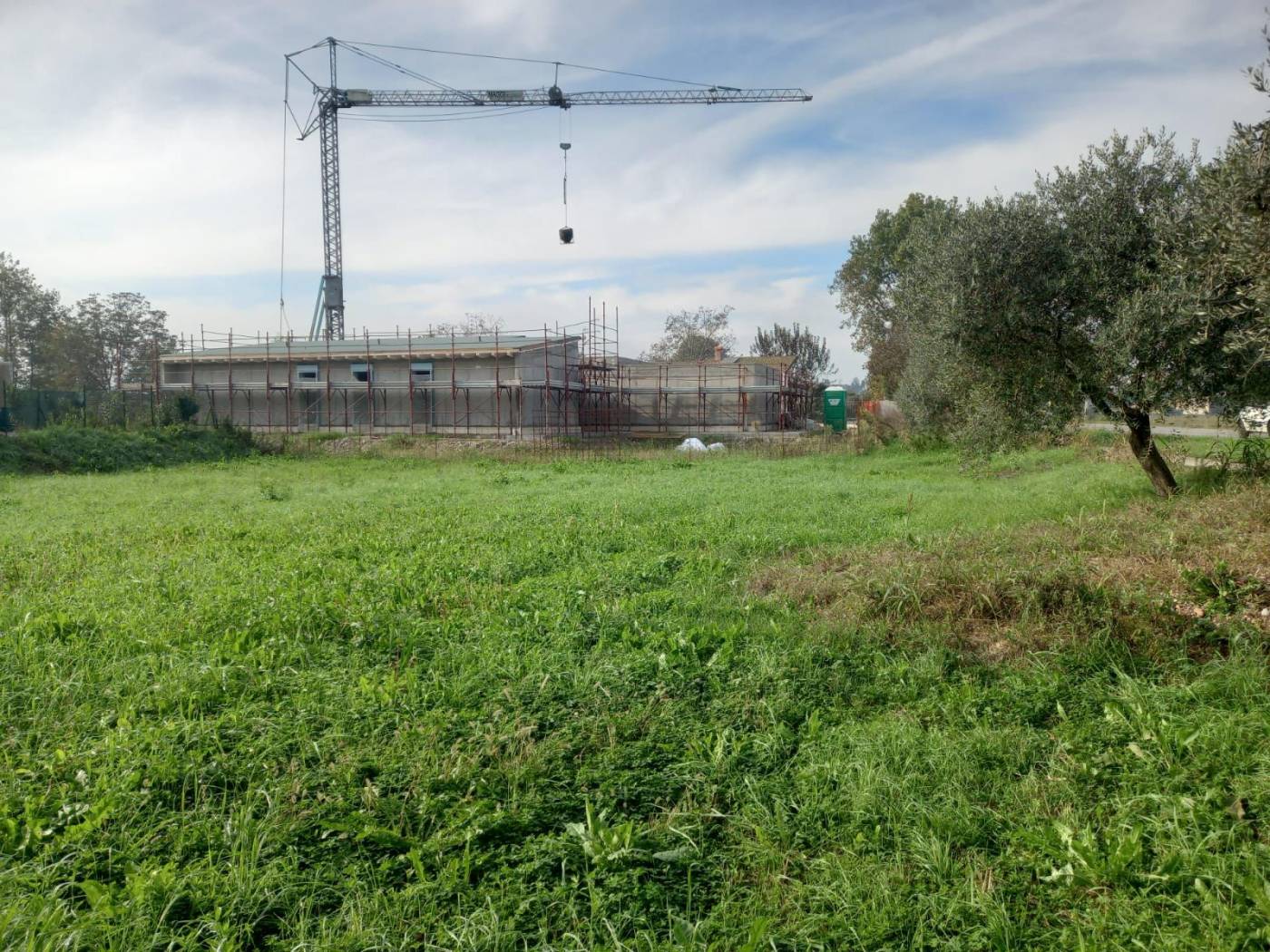 Terreno
