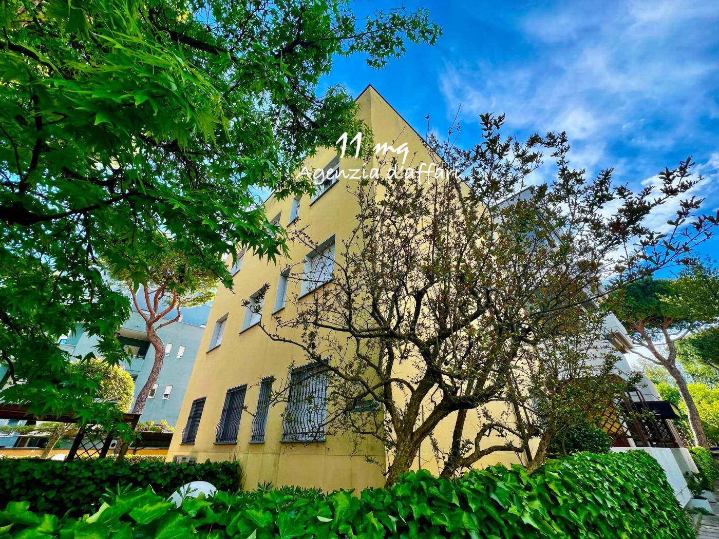 Giardino