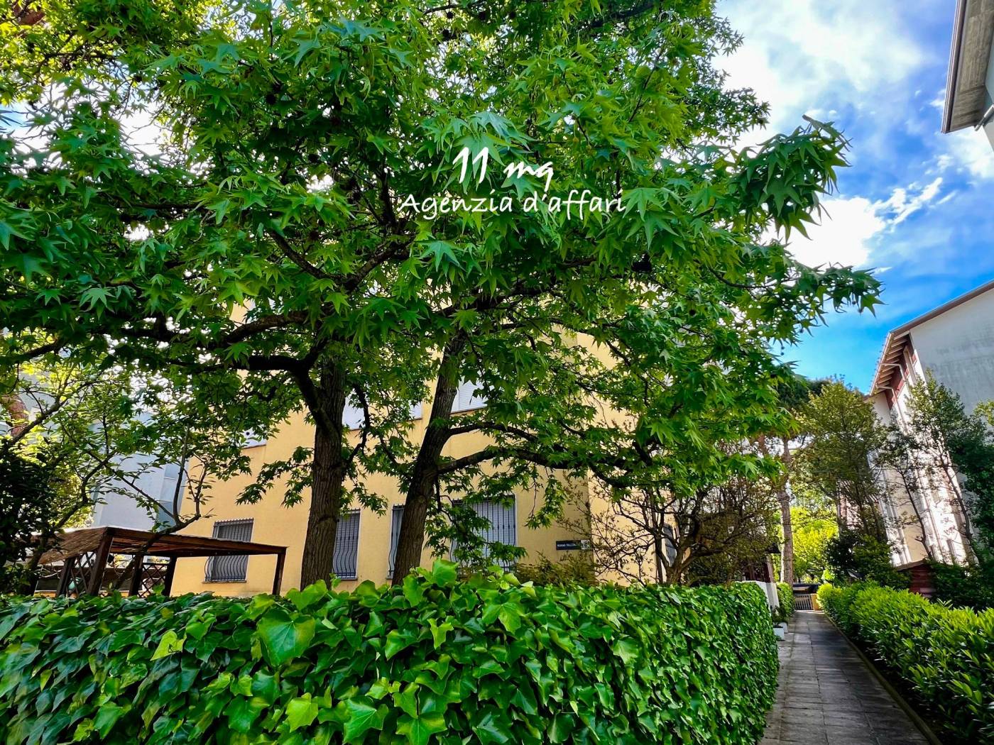 Giardino