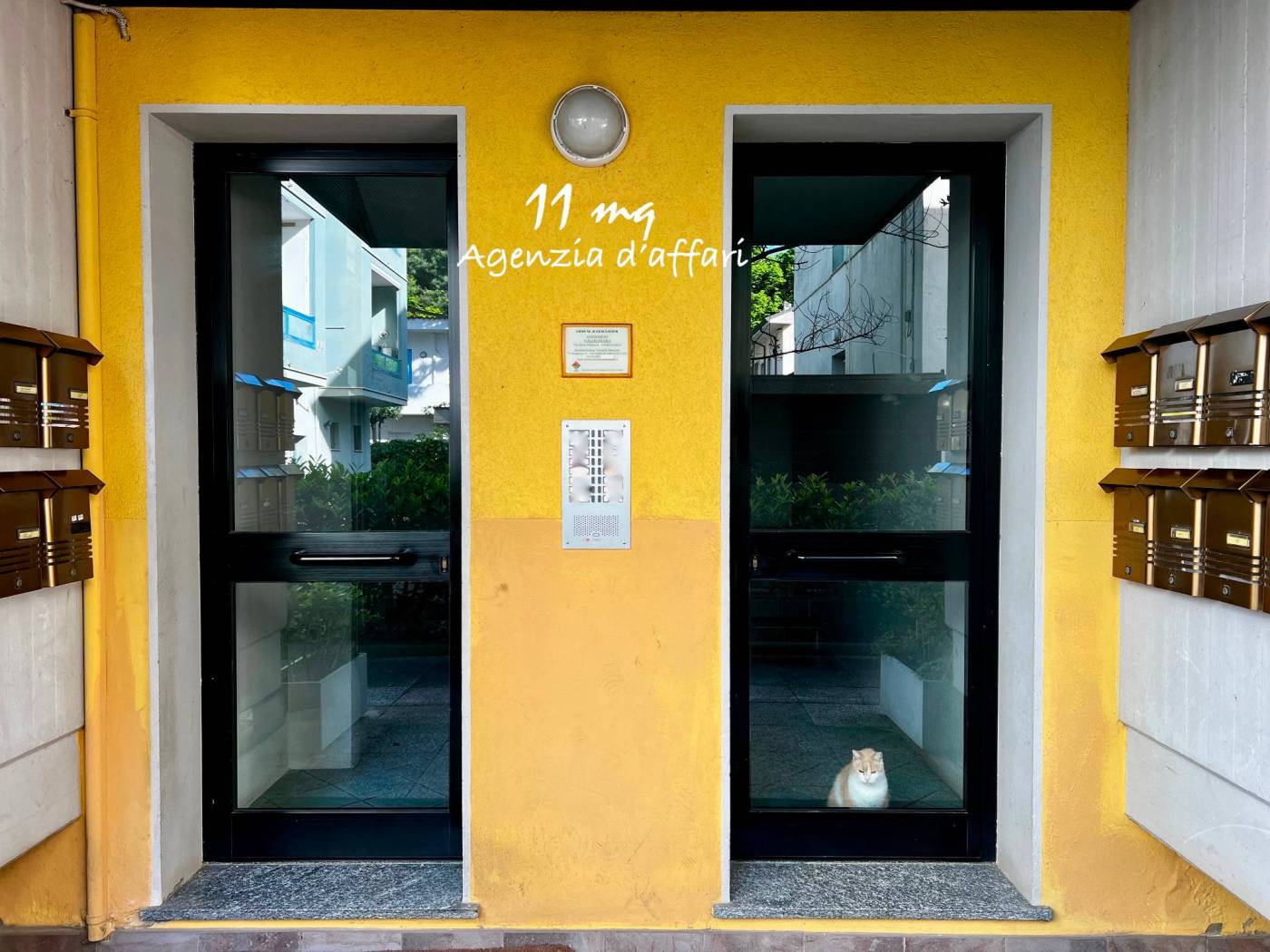 Ingresso