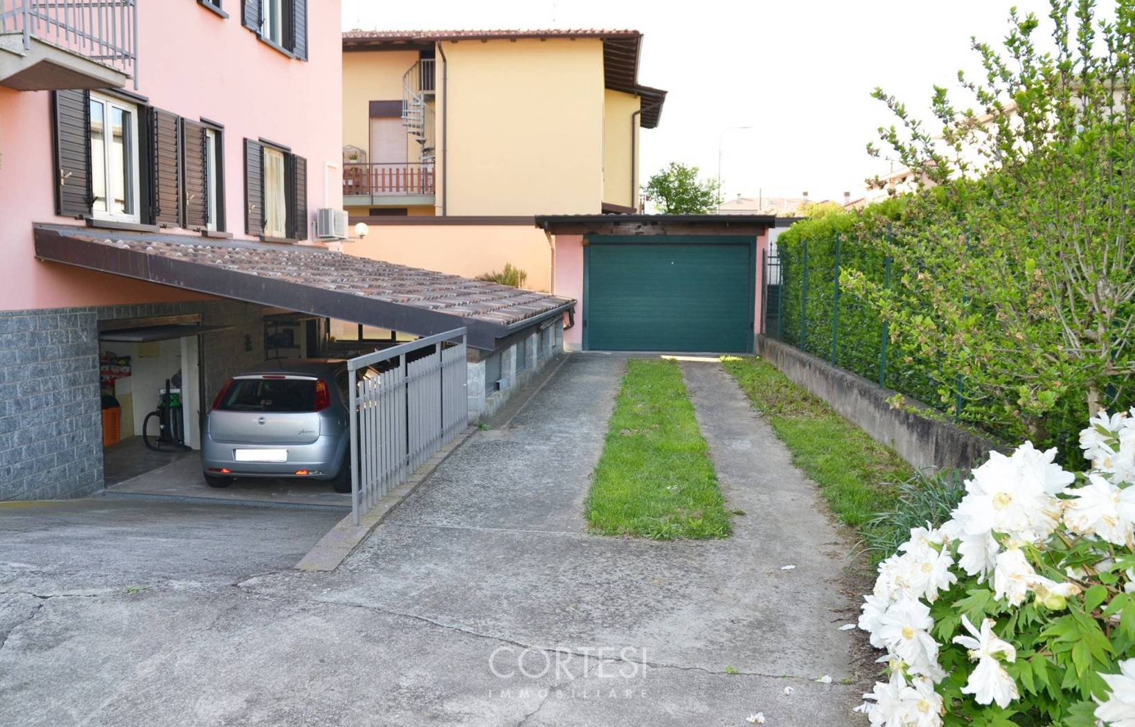 Giardino