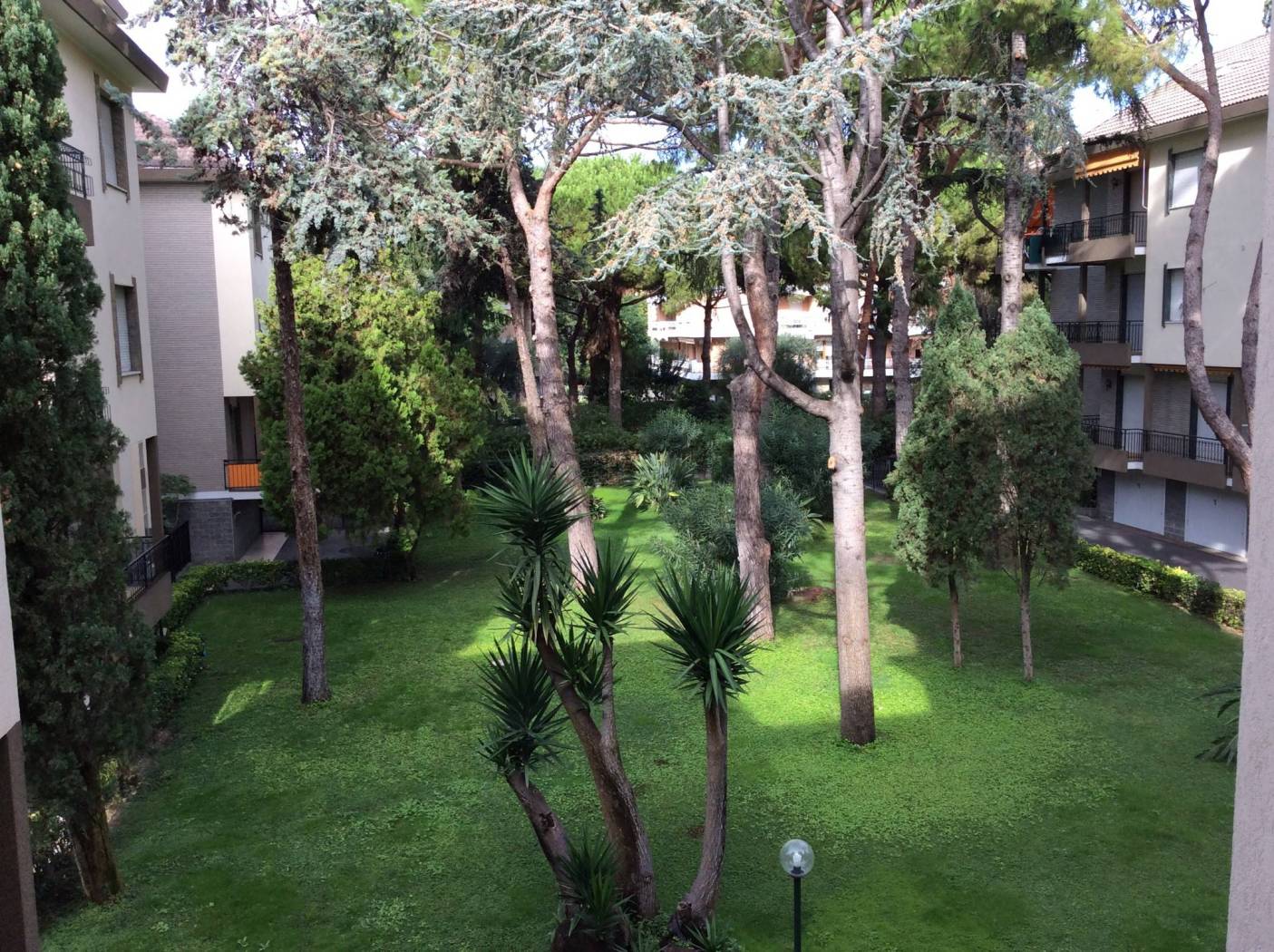 Giardino