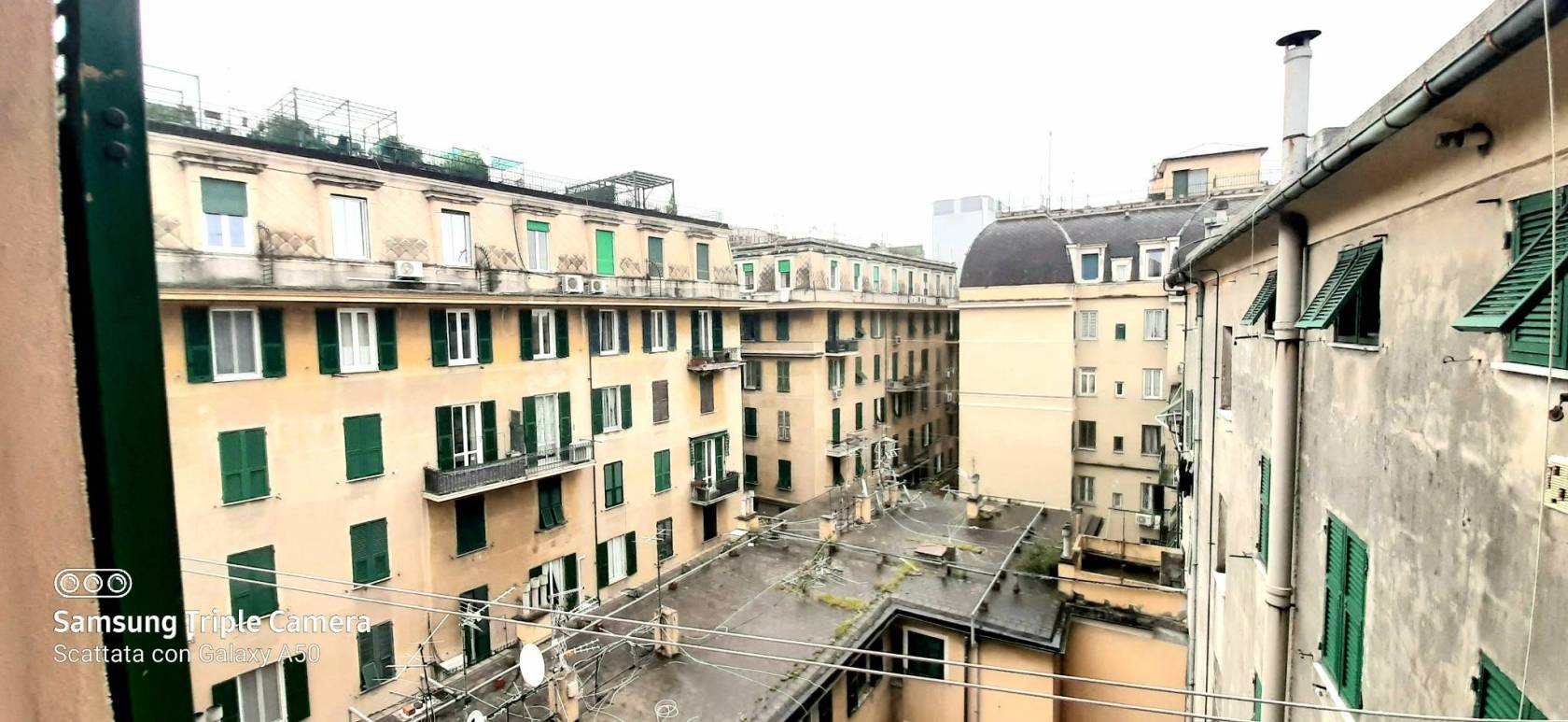 Vista