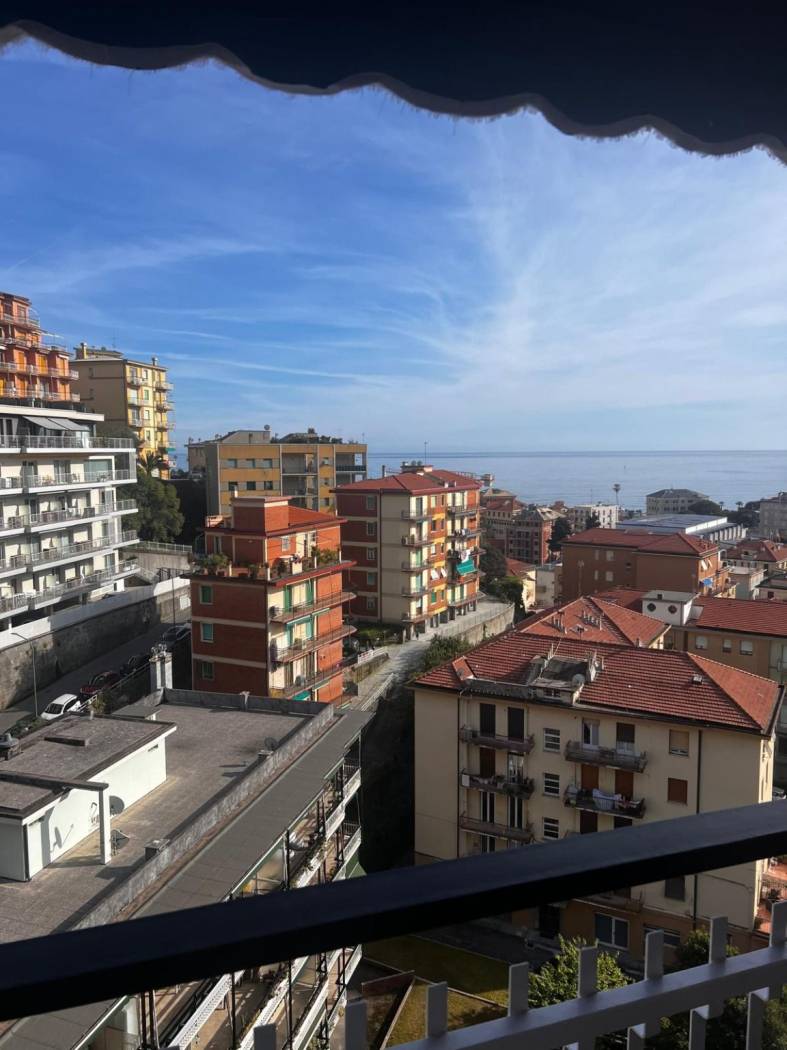 Vista