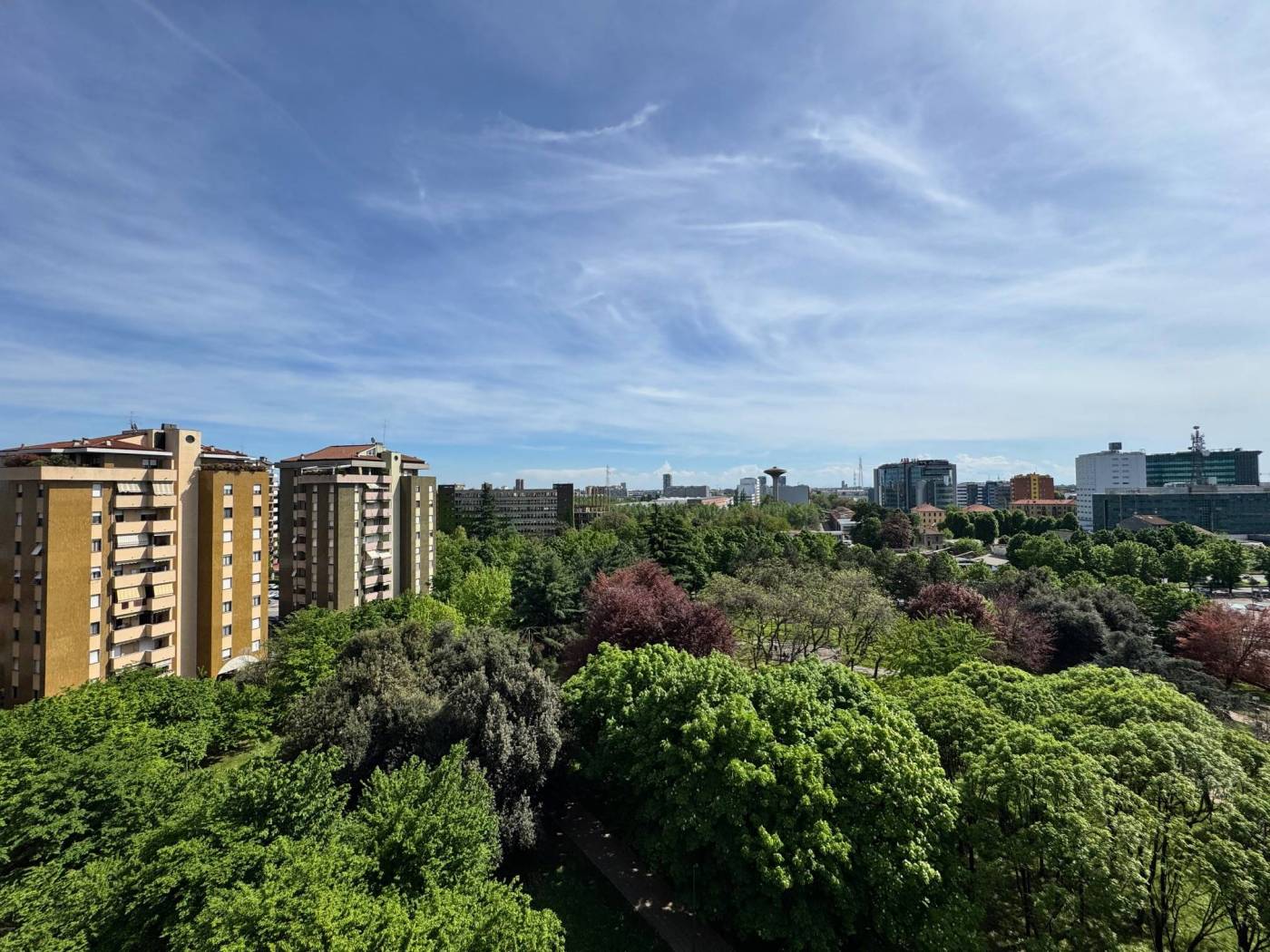 Vista