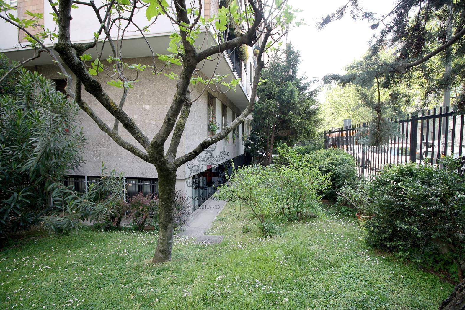 Giardino