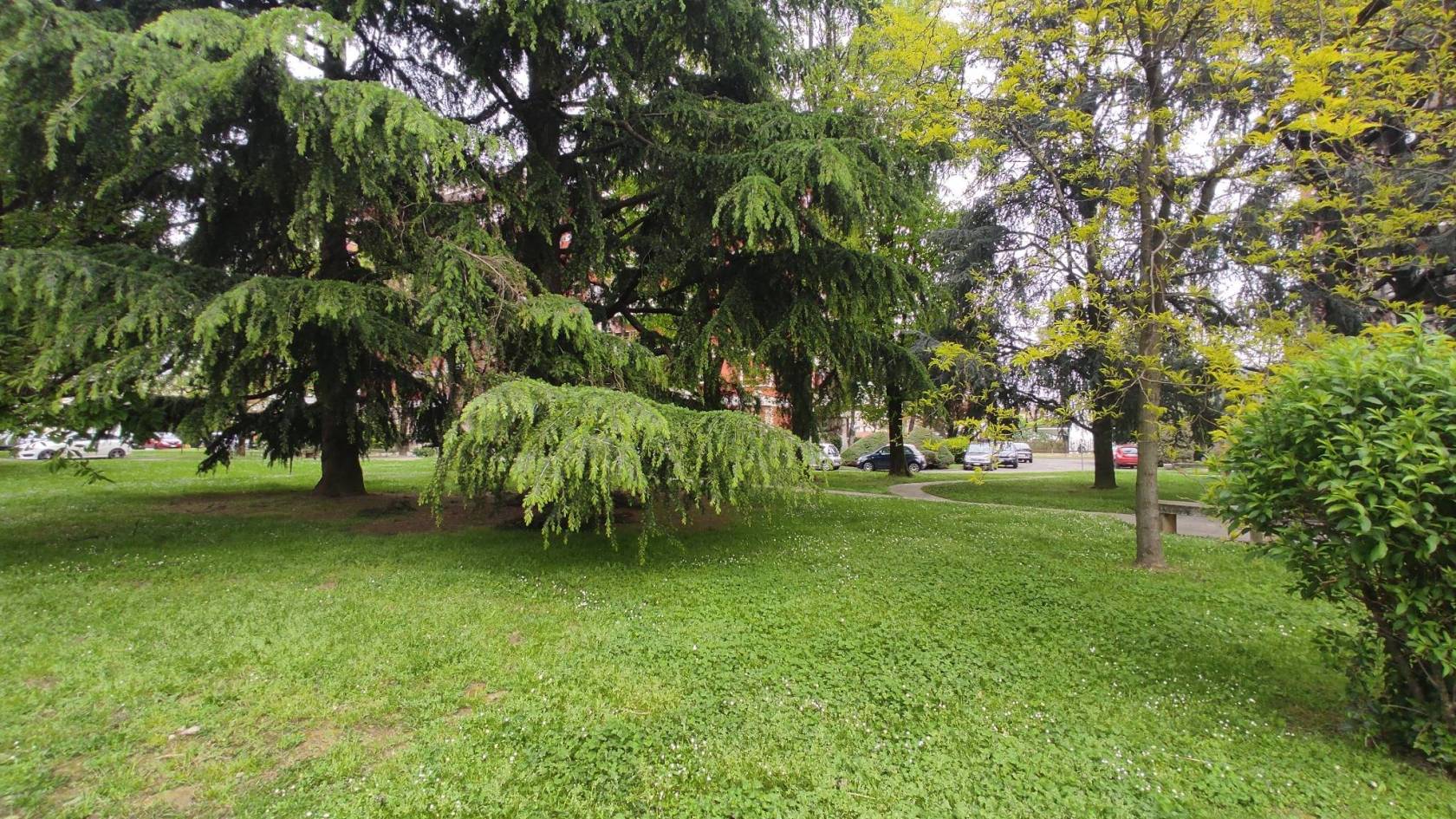 Giardino