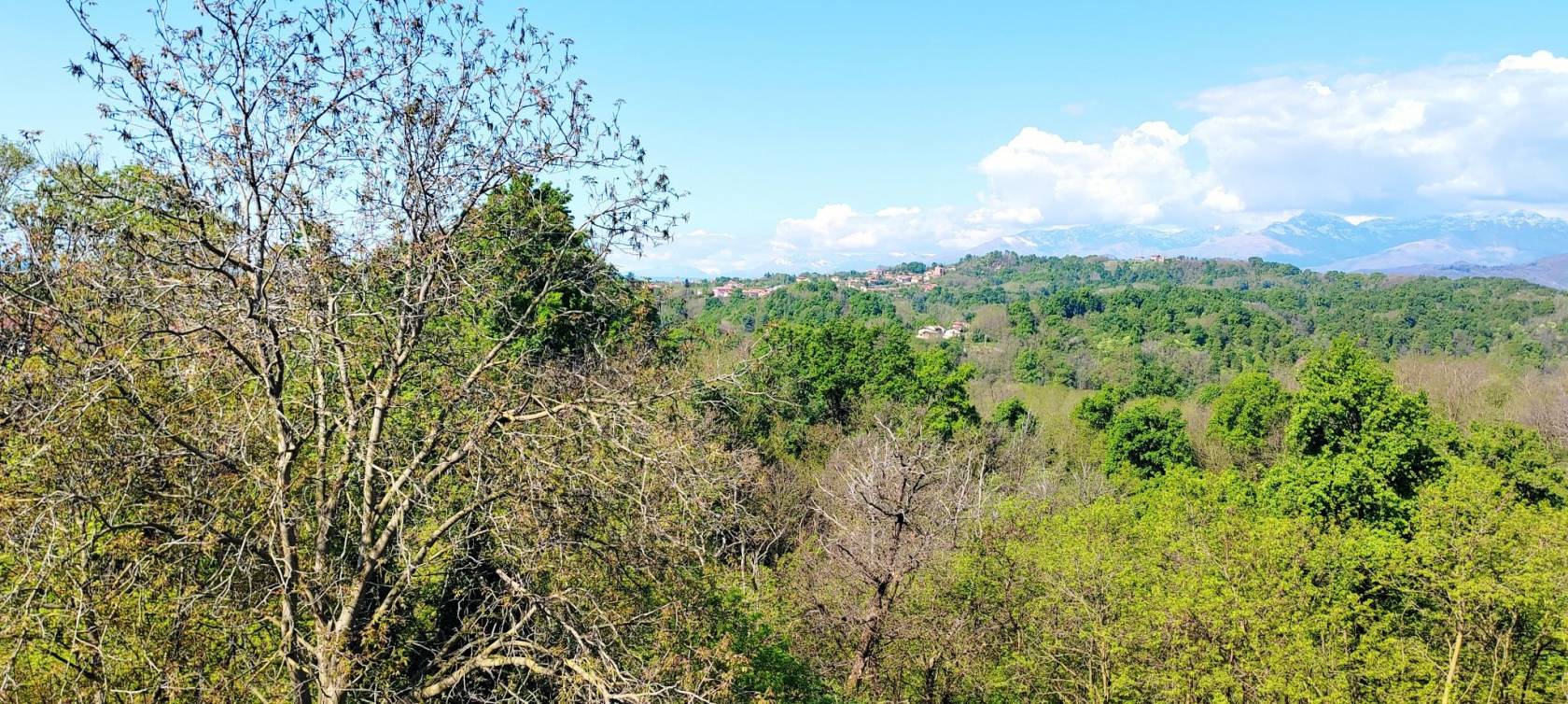 Terreno