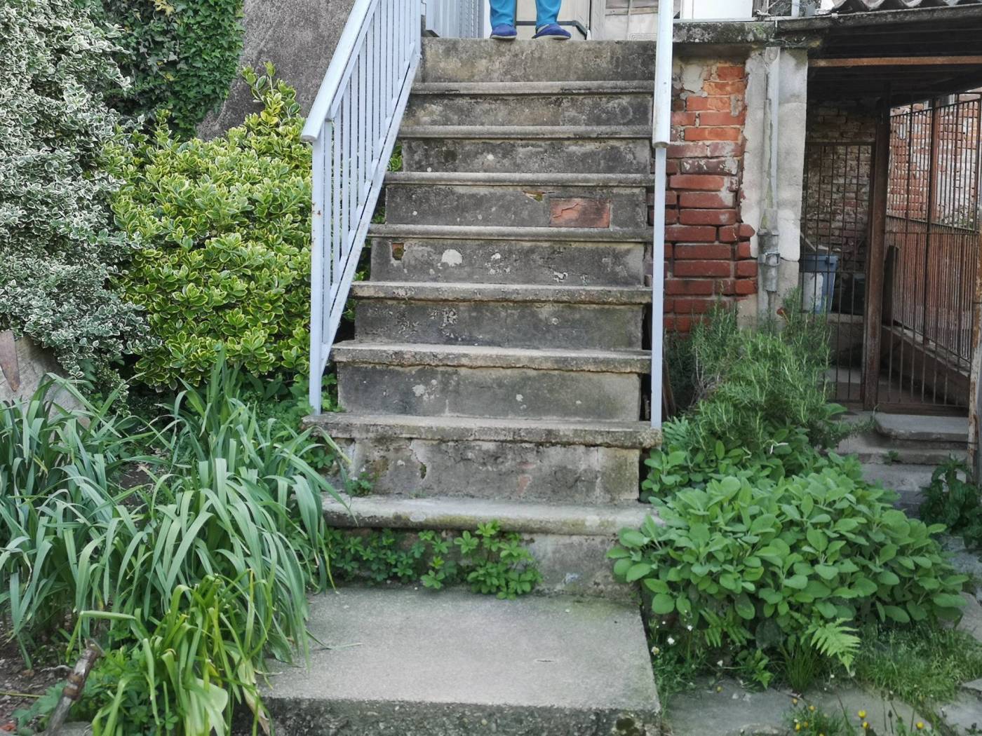 Giardino
