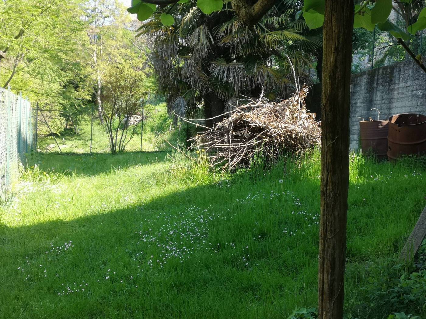 Terreno