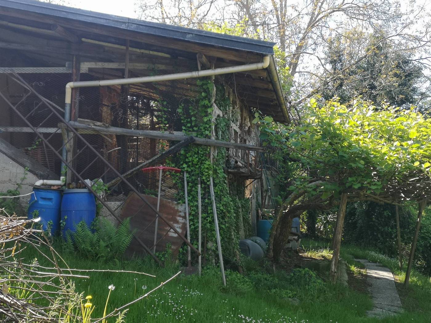 Giardino