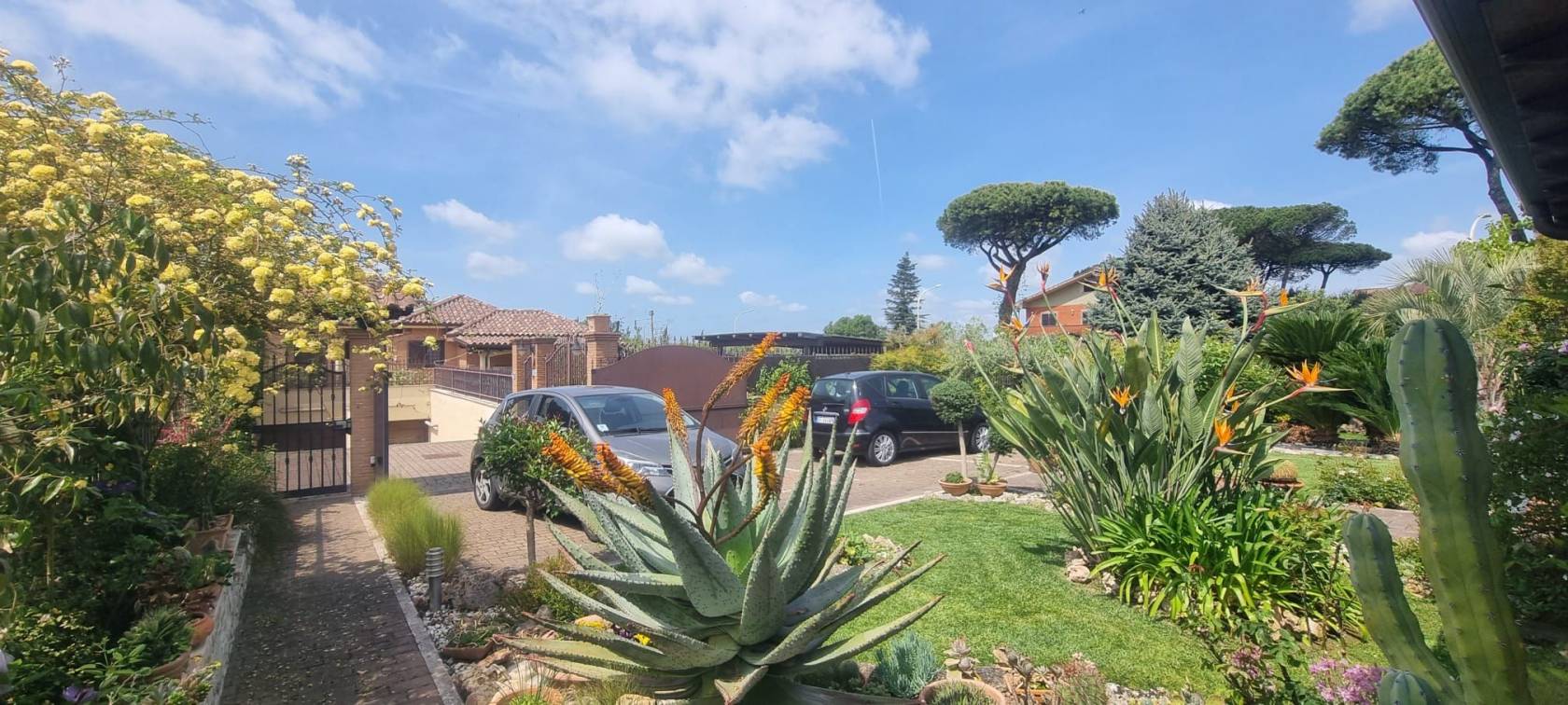 Giardino