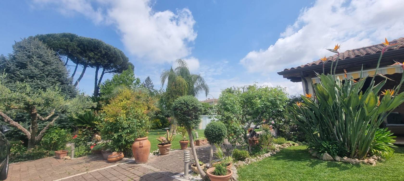 Giardino