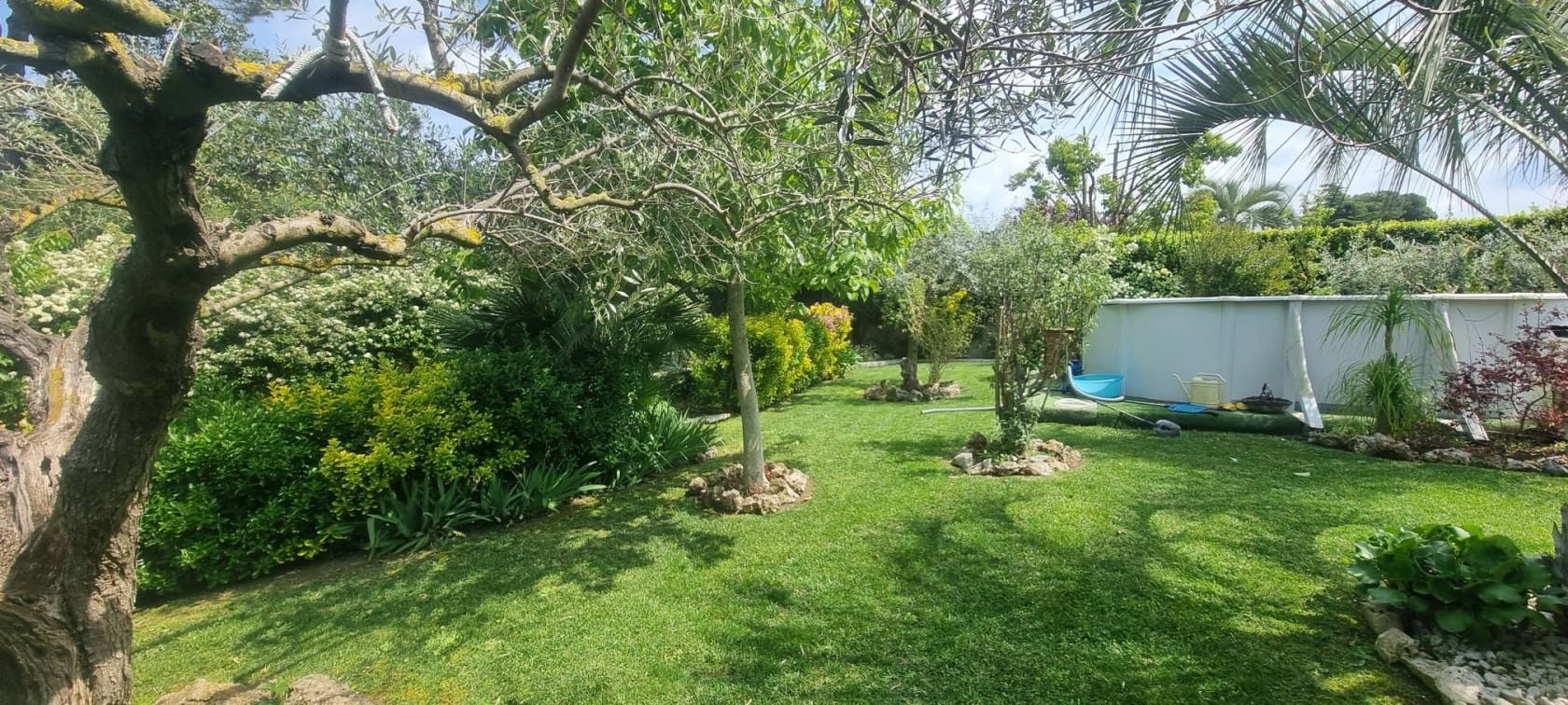 Giardino