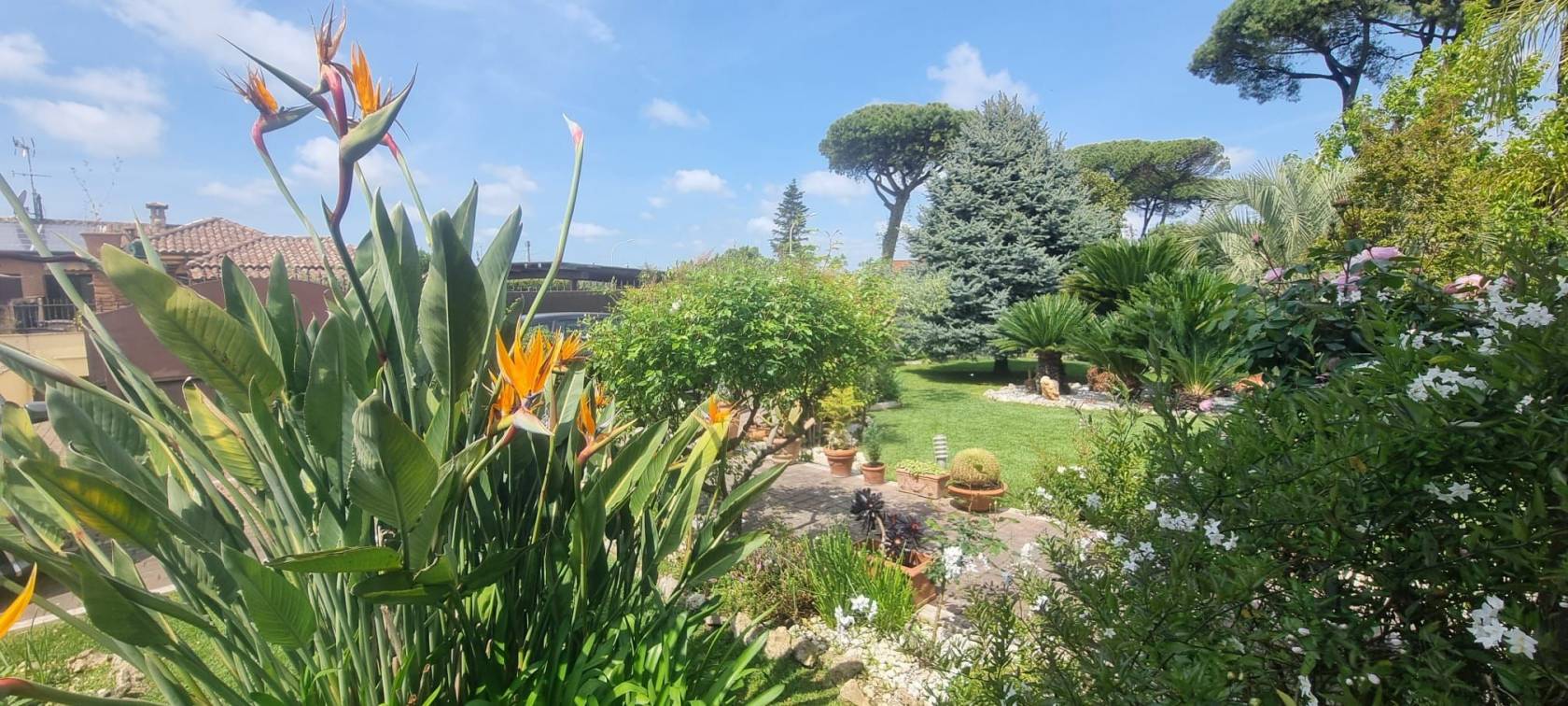 Giardino
