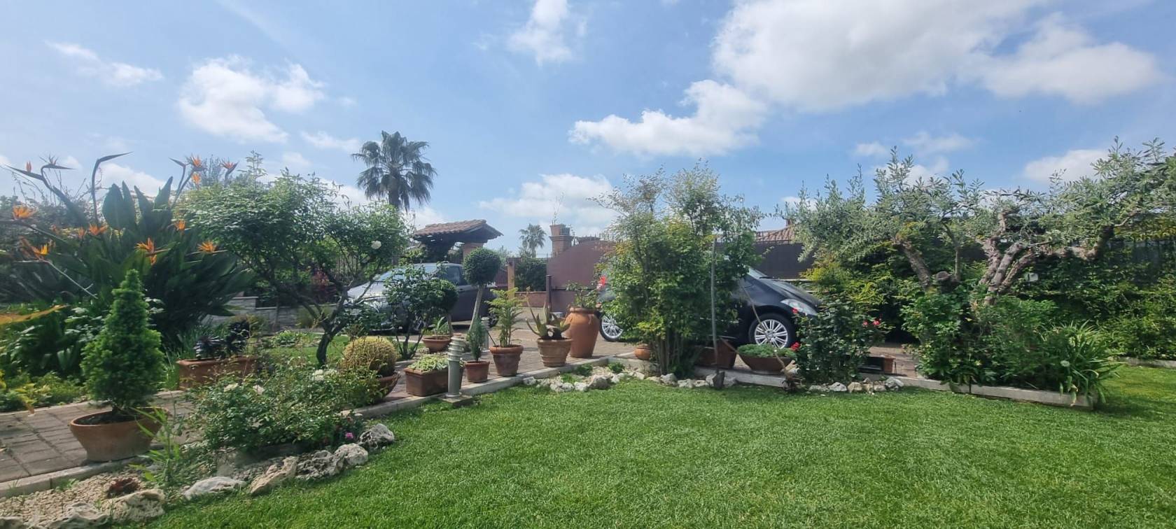 Giardino