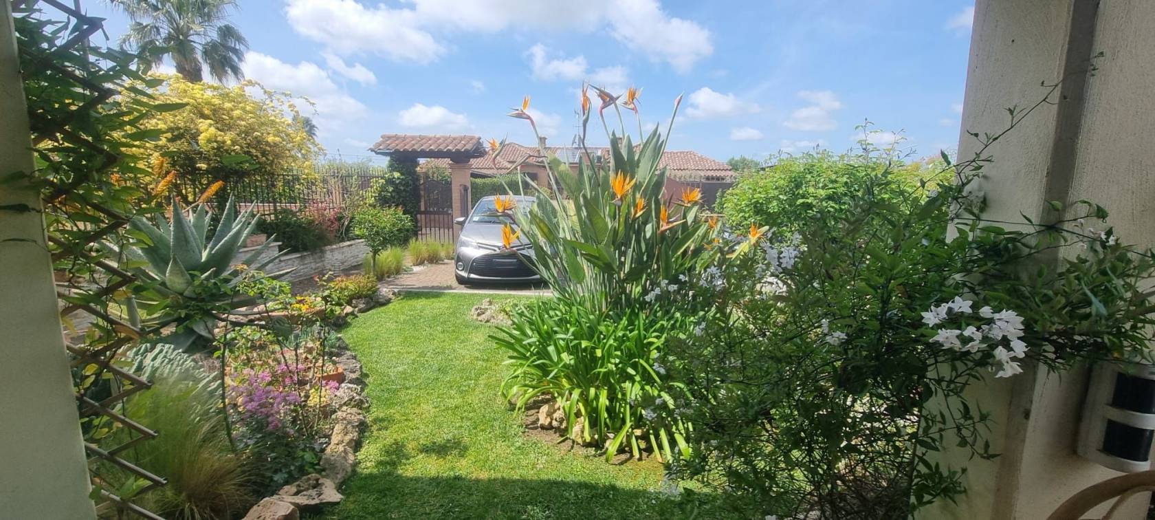 Giardino