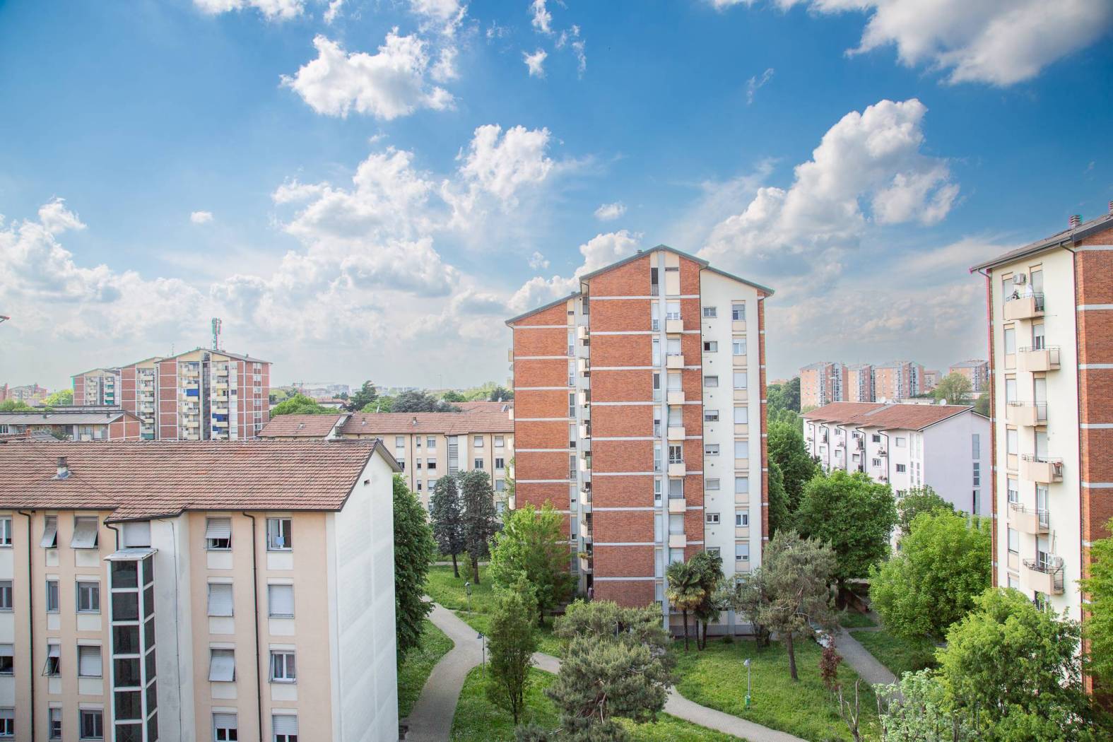 Vista