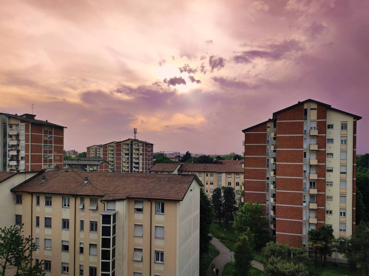 Vista