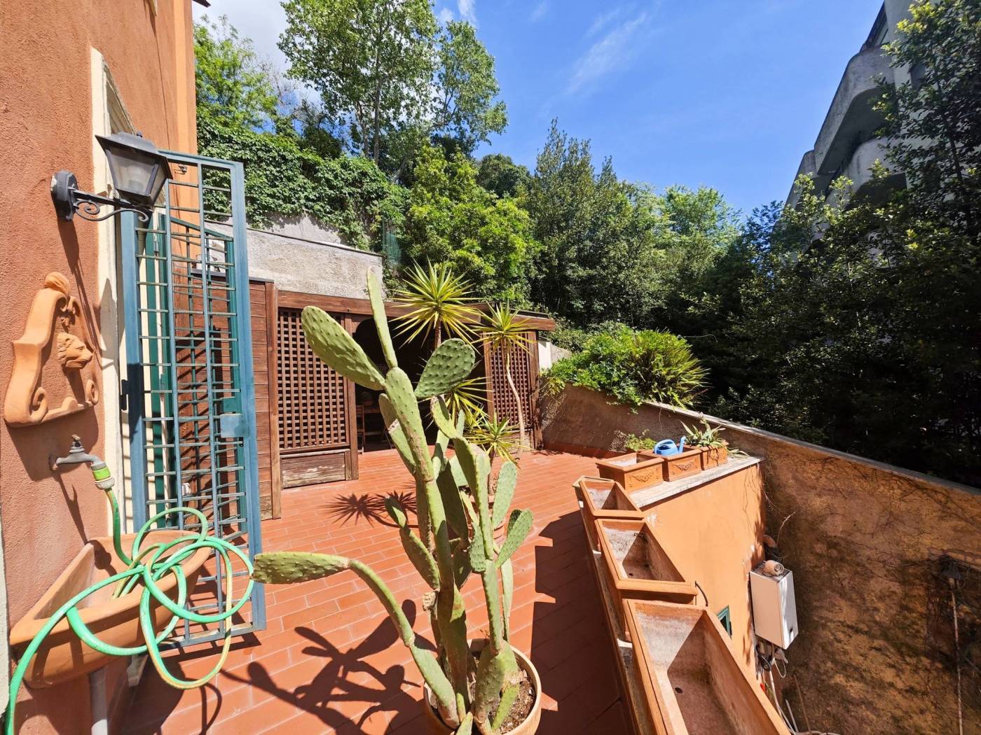 Giardino