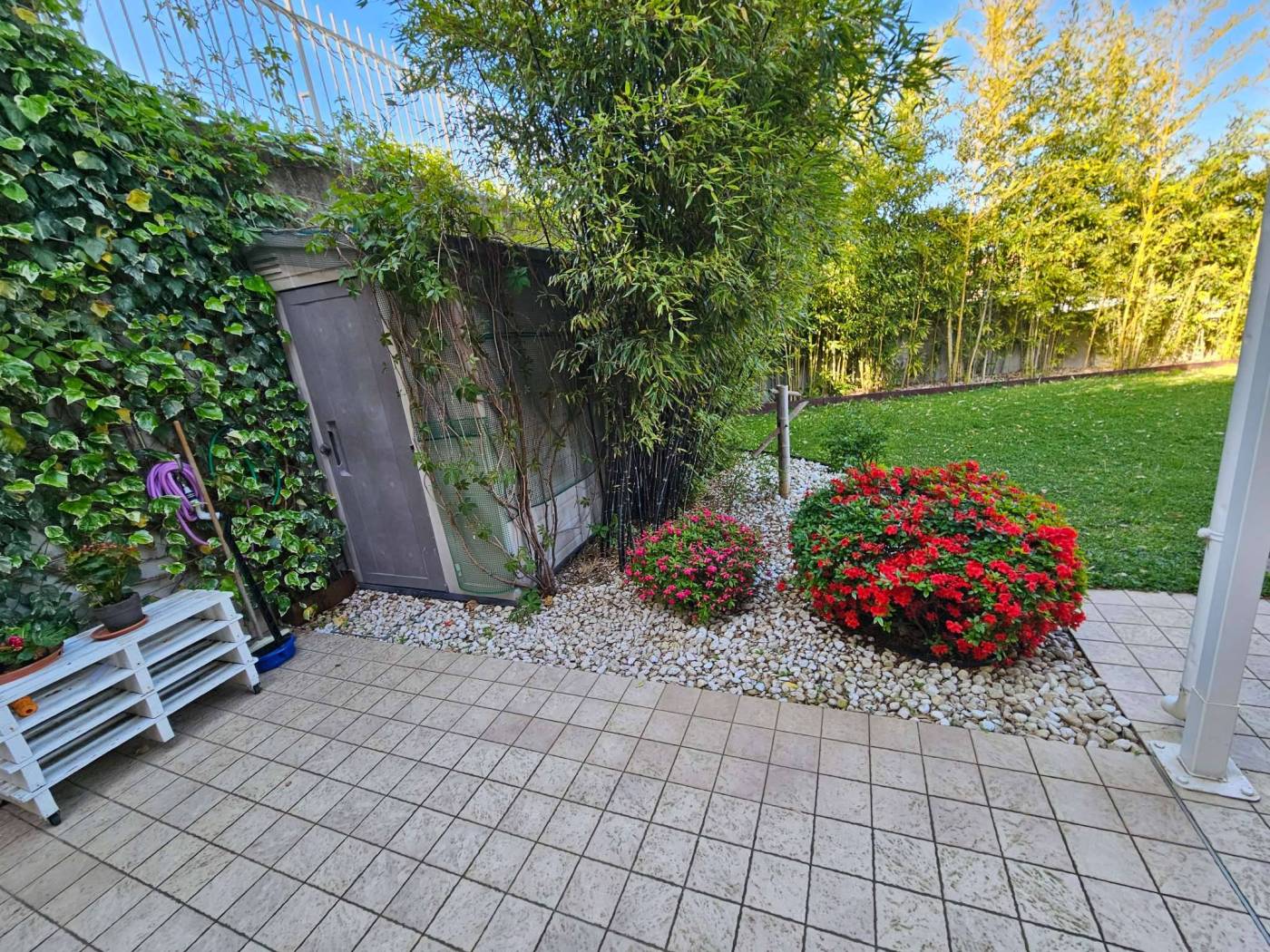 Giardino