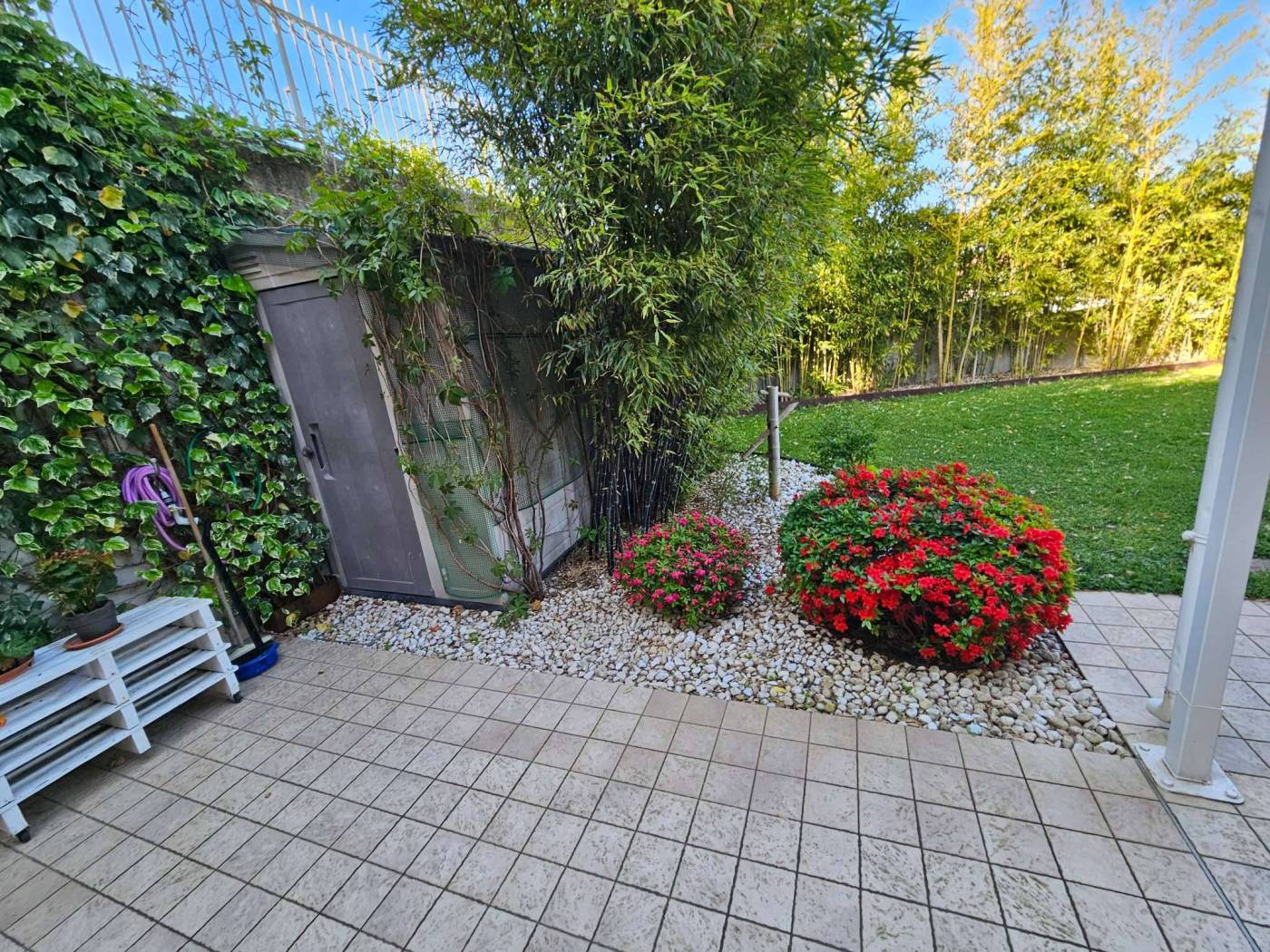 Giardino