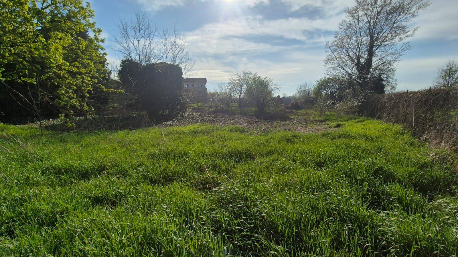 Terreno