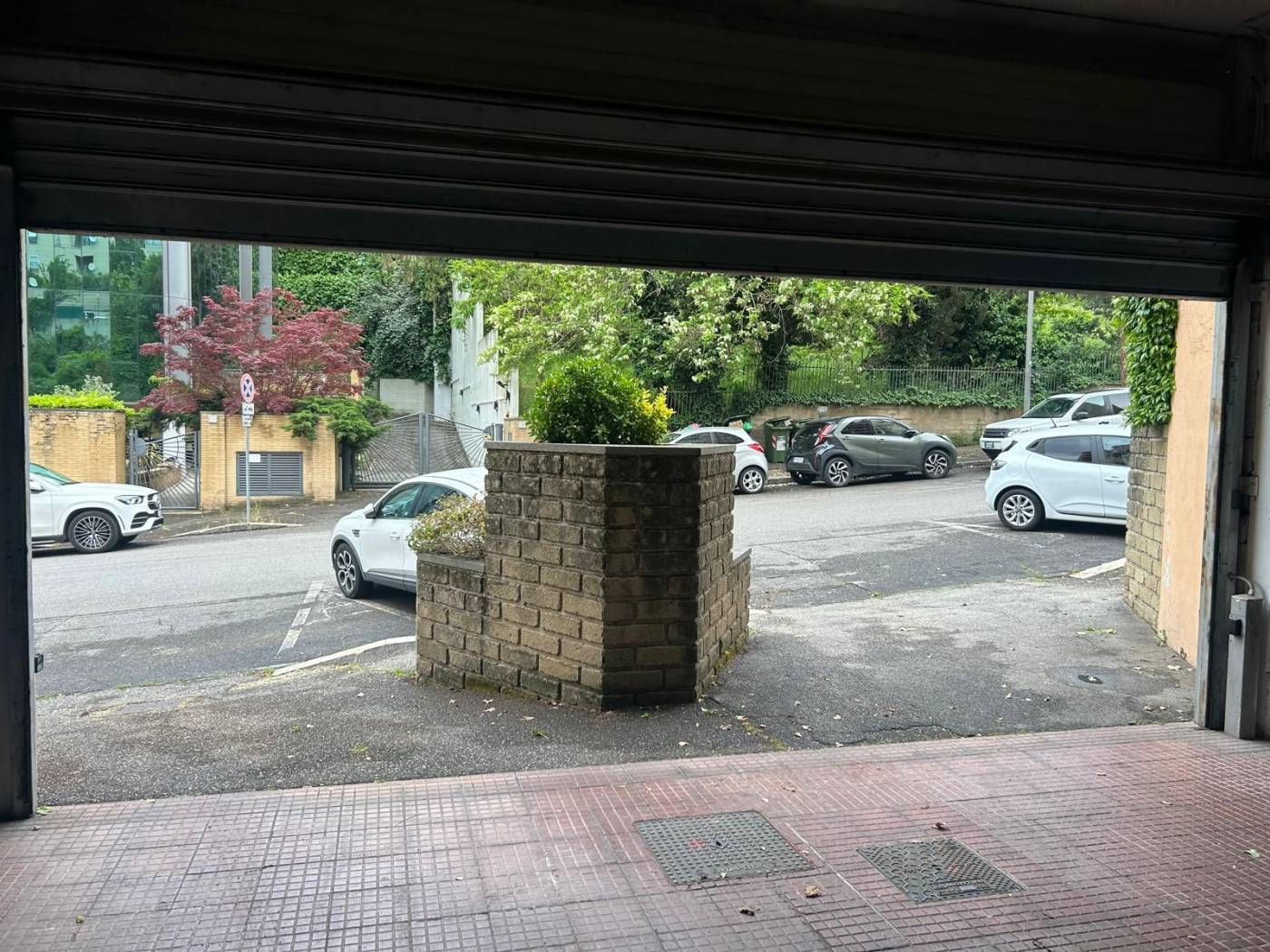 Ingresso