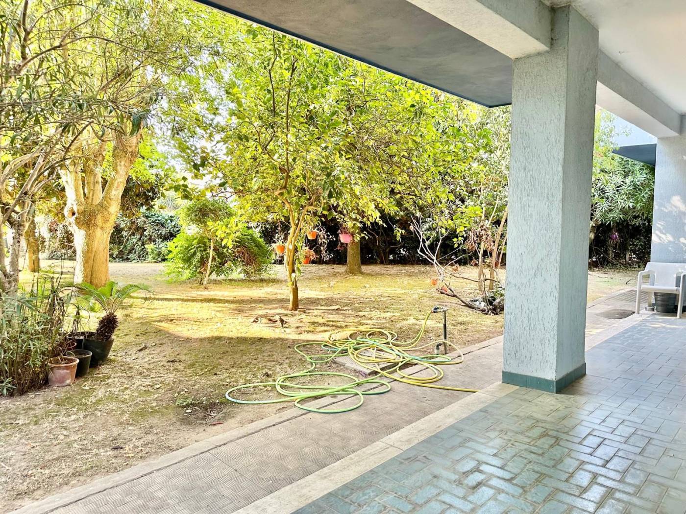 Giardino
