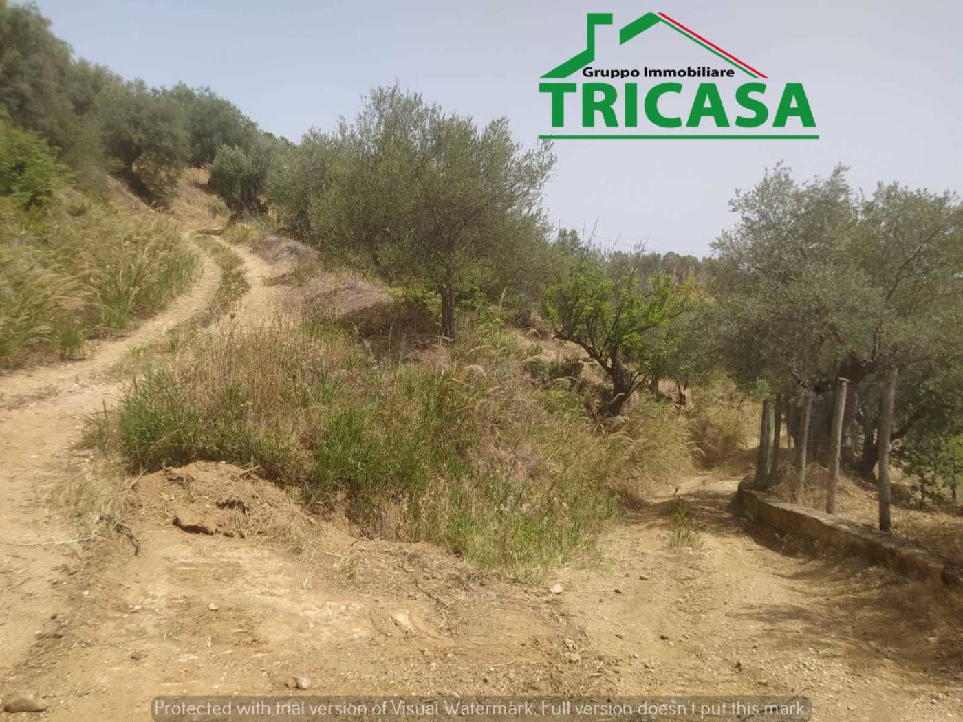 Terreno