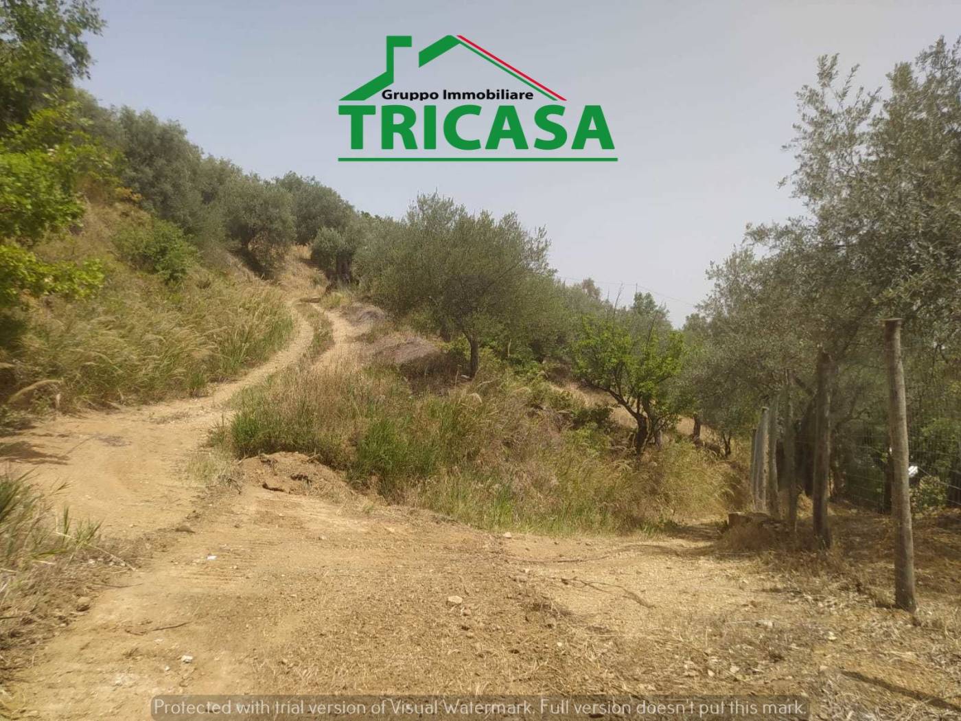 Terreno