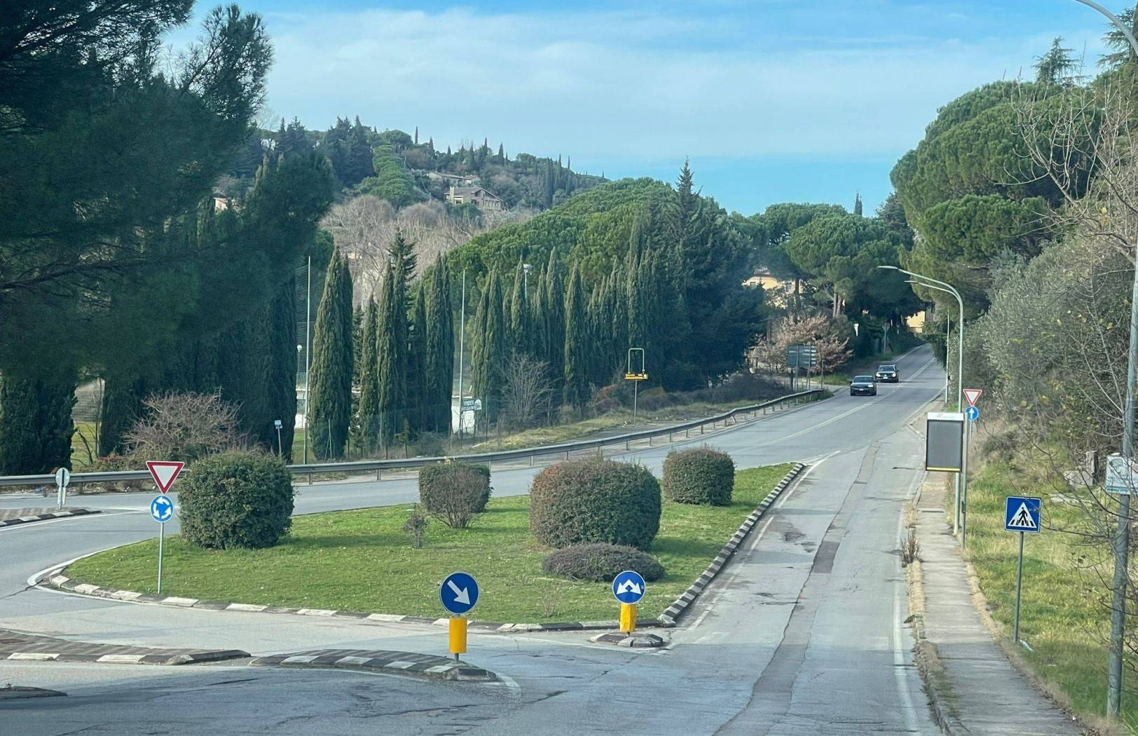 Vista
