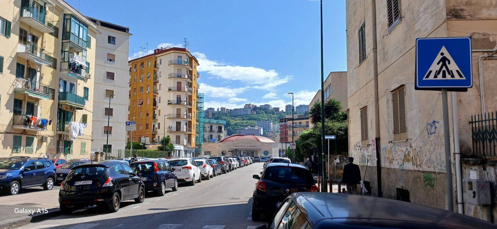 Zona