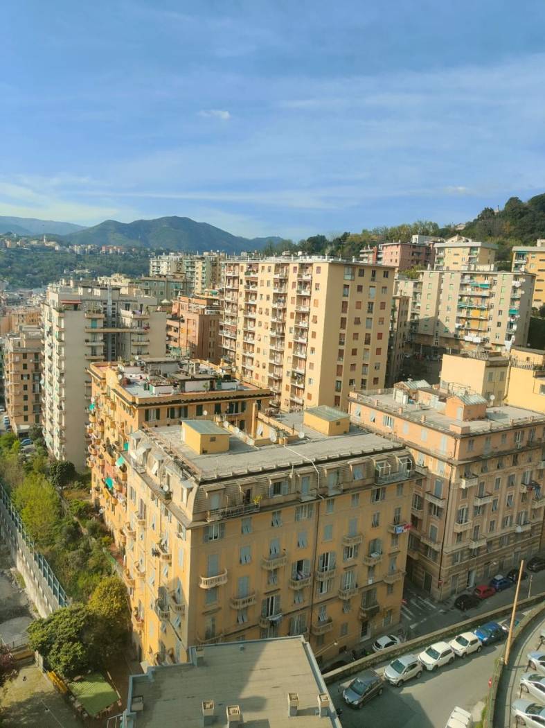 Vista