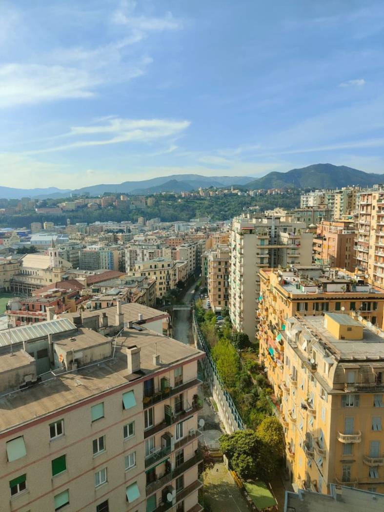 Vista