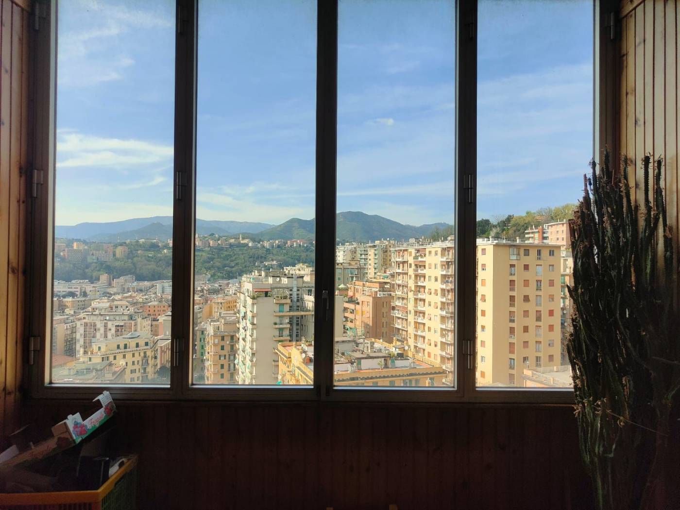 Vista