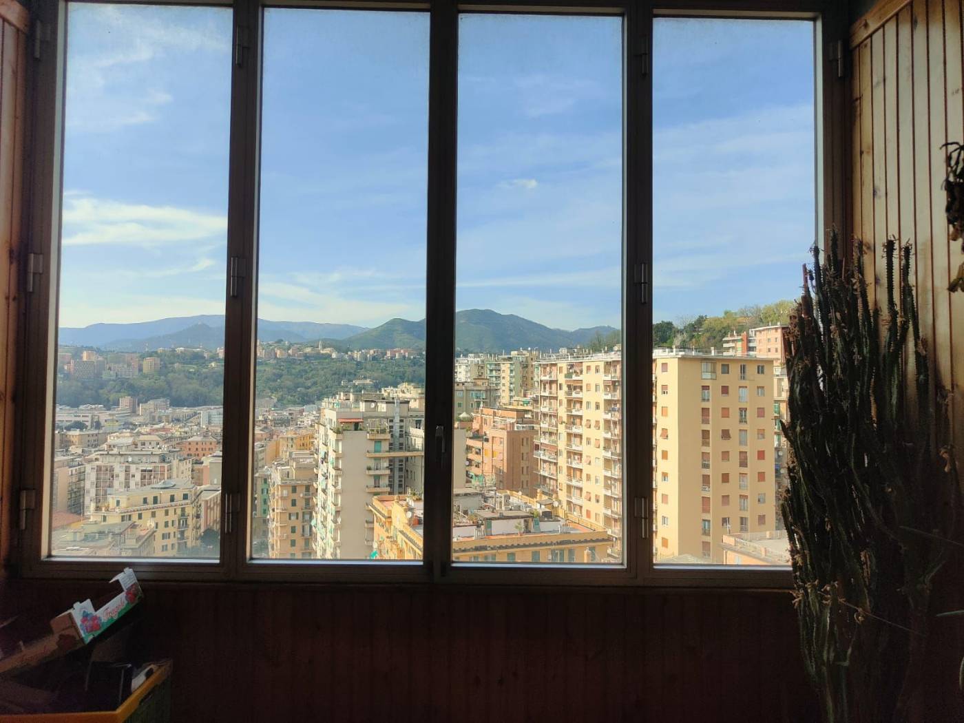 Vista
