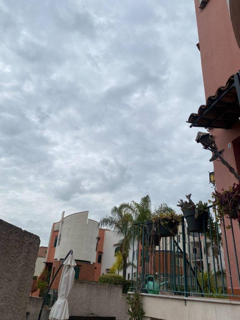 Zona