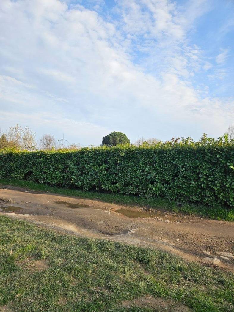 Terreno Terreno