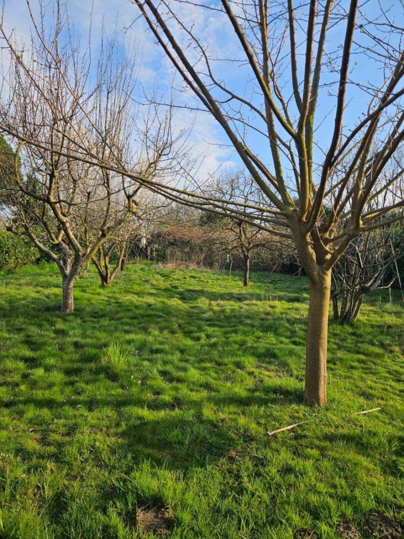 Terreno Terreno