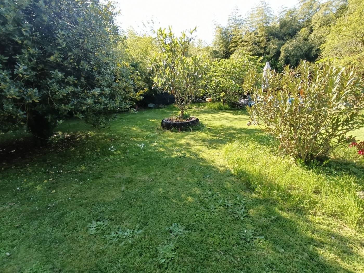 Terreno