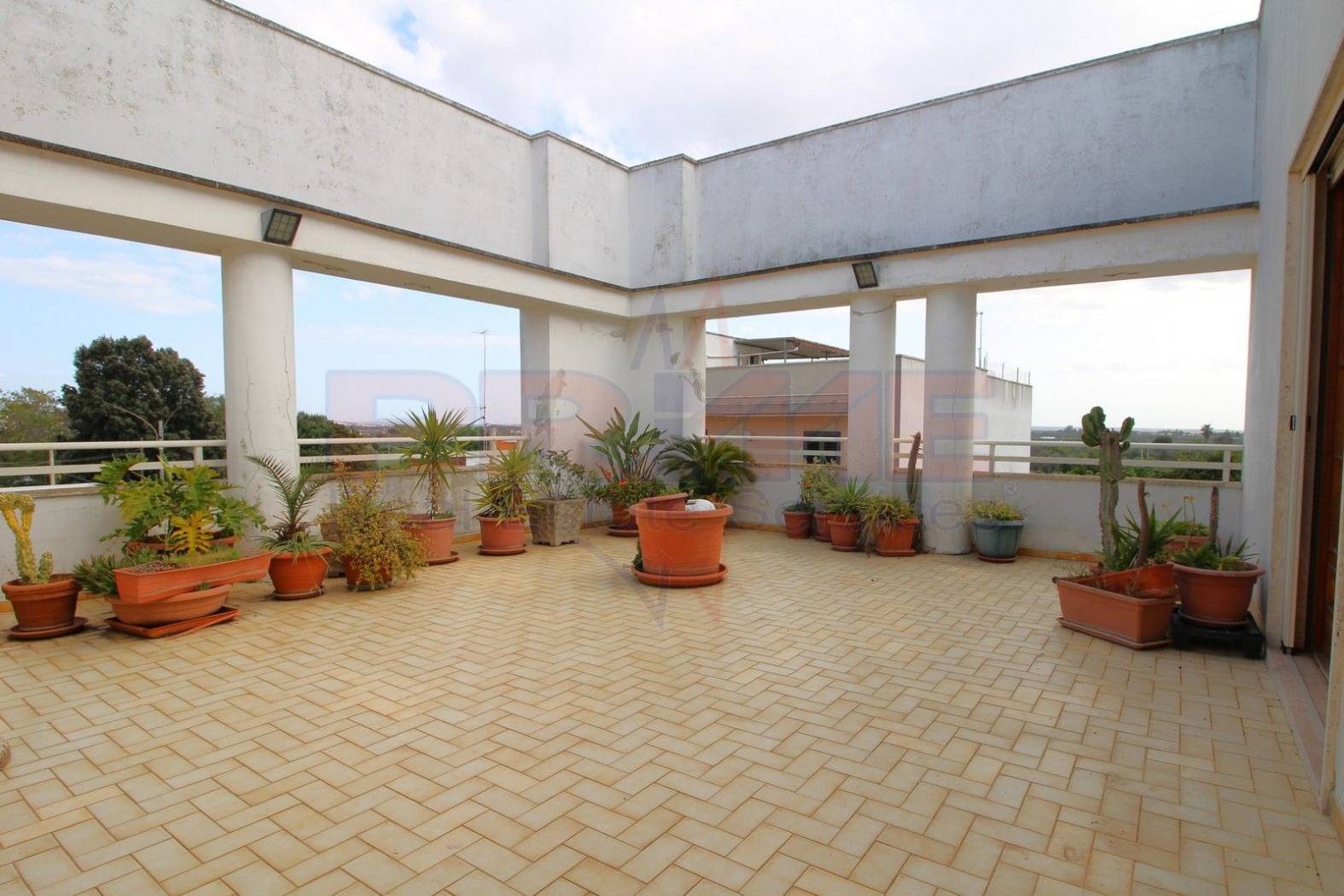 Terrazzo Terrazzo