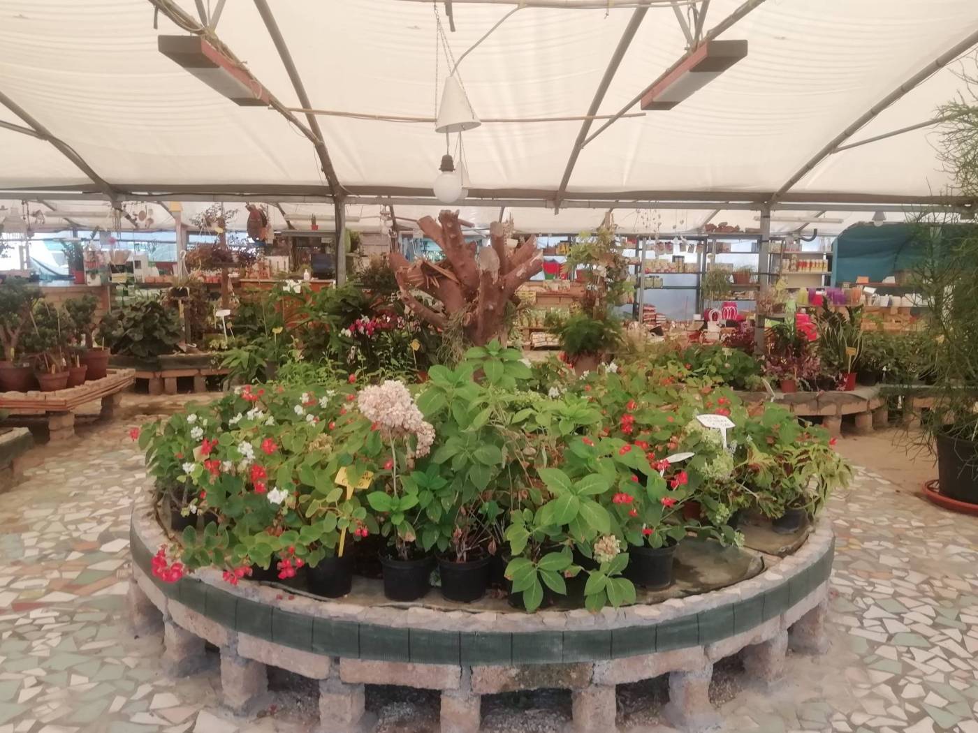 Giardino